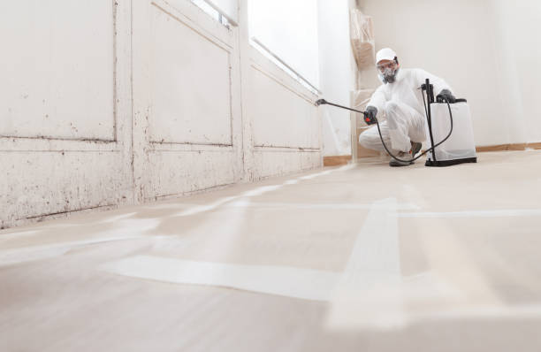 24/7 Emergency Basement Mold Removal experts in McLean, VA